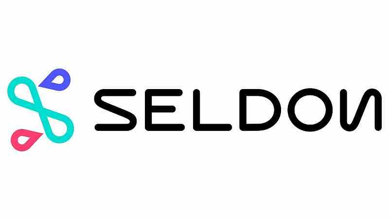 My Startup: Seldon