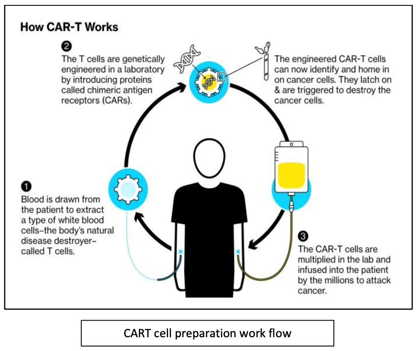 car t-cell process overview