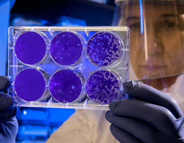 Future of molecular cytogenetics to reach $ 2.5 billion by 2026